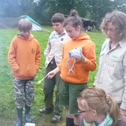 P1060155 - Scouts en Gidsen Zaventem 